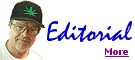 Click to read my latest.