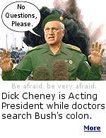 Dick Cheney is the man until the President comes-to.