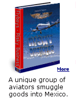 A new novel by Dean O. Talley, ''Fly Boys - Risky Business'' tells of a world where latter-day pirates and vagabond adventurers ply their trade in the backwaters of aviation.