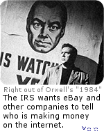 A proposal in the president's 2008 budget that would require Internet businesses like eBay to collect data on their customers and give it to the IRS, in an effort to track-down unreported income.