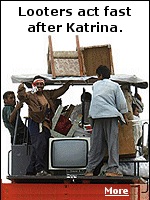 After Katrina, looters swung into action.