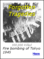 Most people know about the atomic bombs dropped on Japan, but few know about the terrible loss of life when incendiary bombs were dropped on Tokyo.