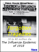The influenza epidemic was so severe that the average life span in the US was depressed by 10 years.