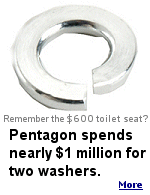 A South Carolina woman pleaded guilty to defrauding the federal government of more than $20 million over 10 years, including two washers sold to the Pentagon for nearly $1 million.